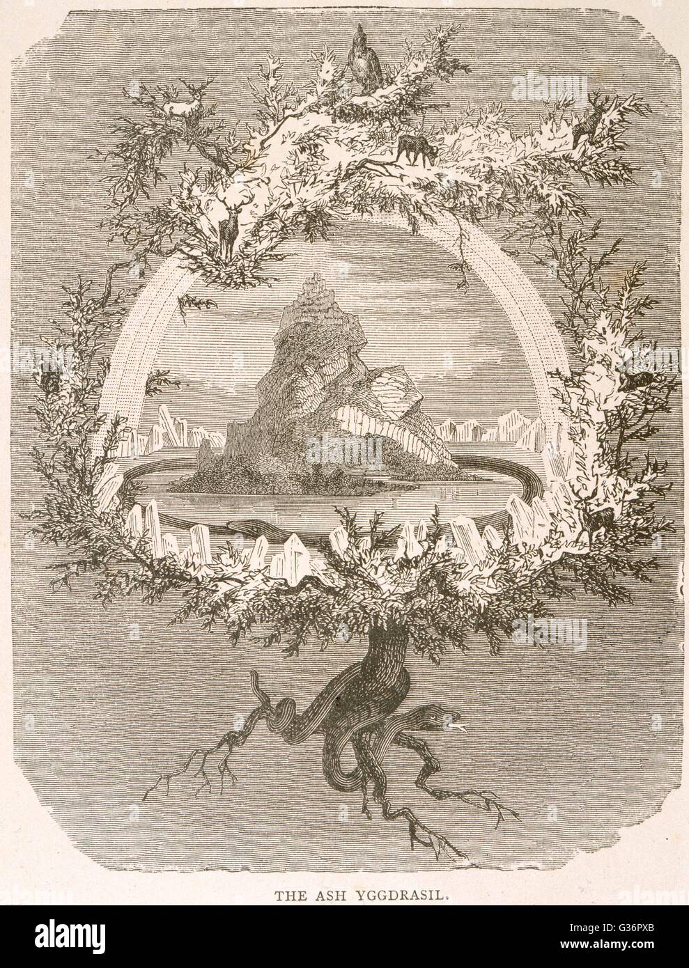 Yggdrasil (Yggdrasill), the sacred ash, the Tree of Life, the Mundane Tree of Norse mythology, whose branches overhang the Universe.      Date: 1886 Stock Photo