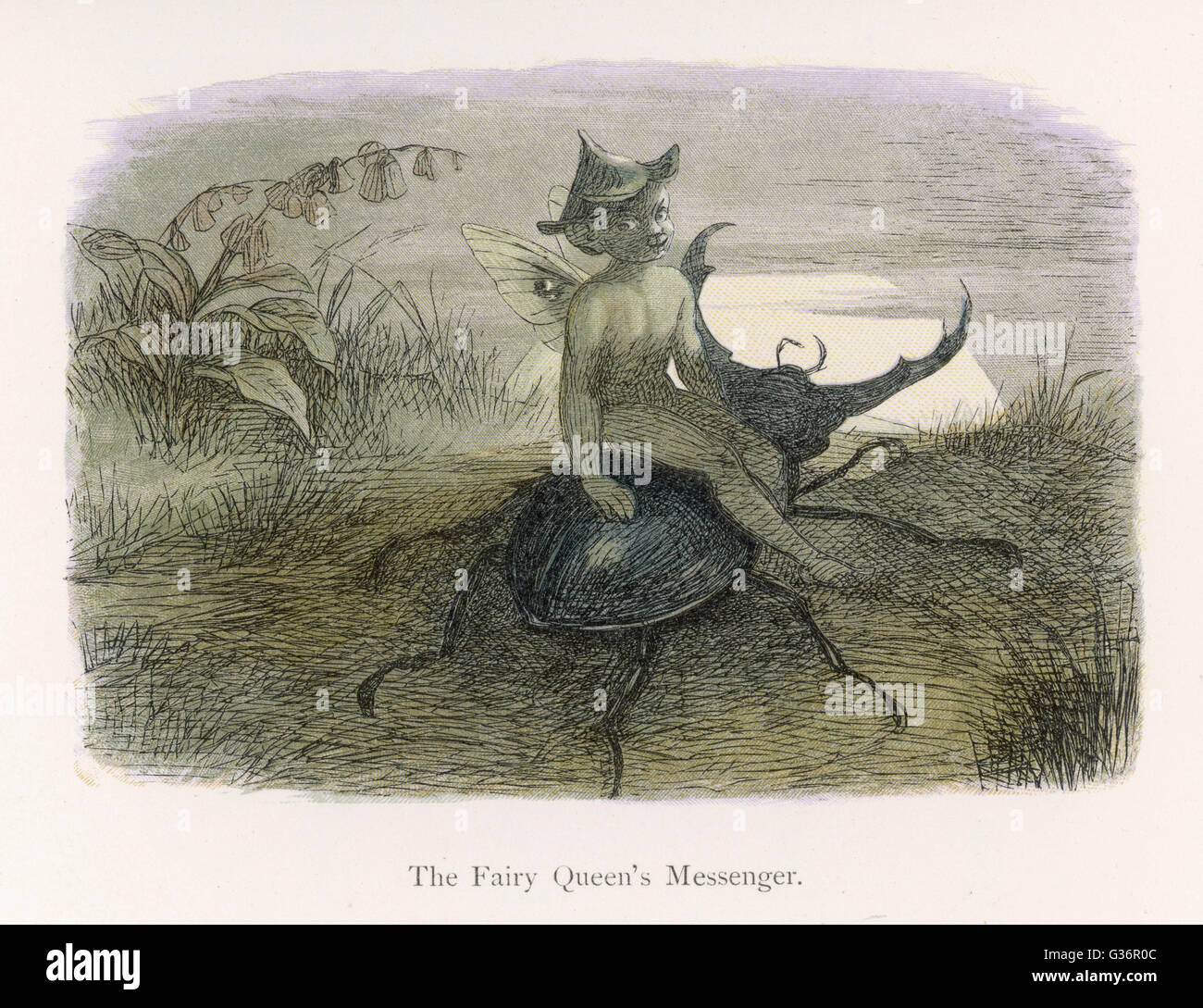 Fairy Riding High Resolution Stock Photography and Images - Alamy