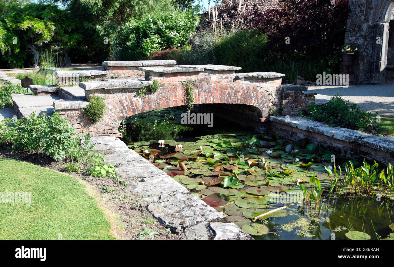 Lily pond in the walled garden of Dromoland Castle, five star hotel in