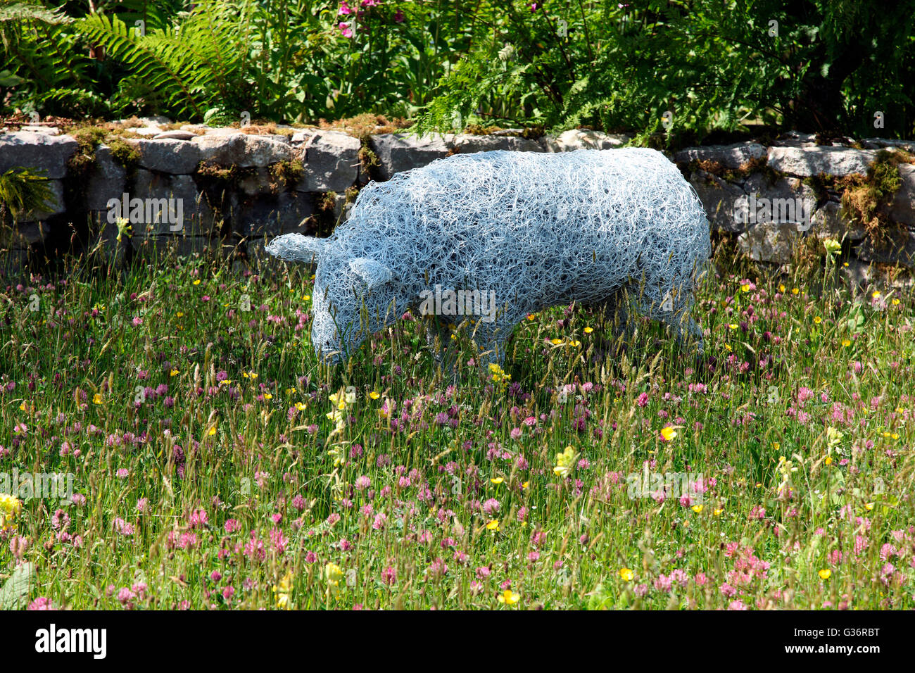Wire sculpture of pig by Gwen Wilkenson in show garden by Barry