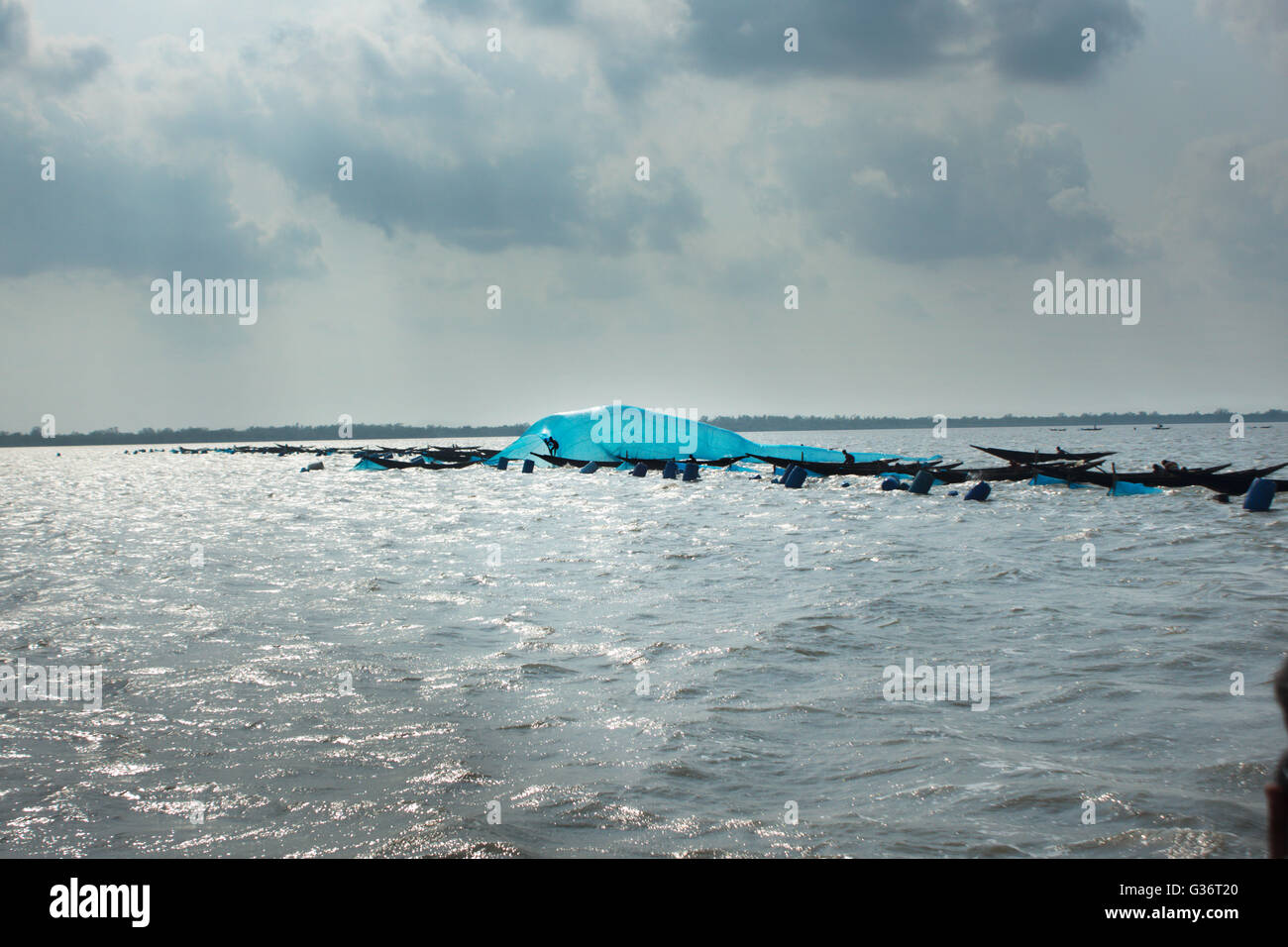 Fishing boats set up their shrimp larvae ( fry ) nets in Shibsha River , Bangladesh . Stock Photo