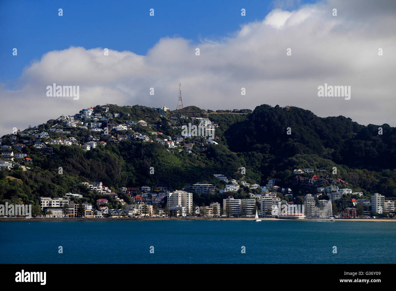 Oriental Bay viewed from the Interislander ferry arriving in Wellington from Picton Stock Photo