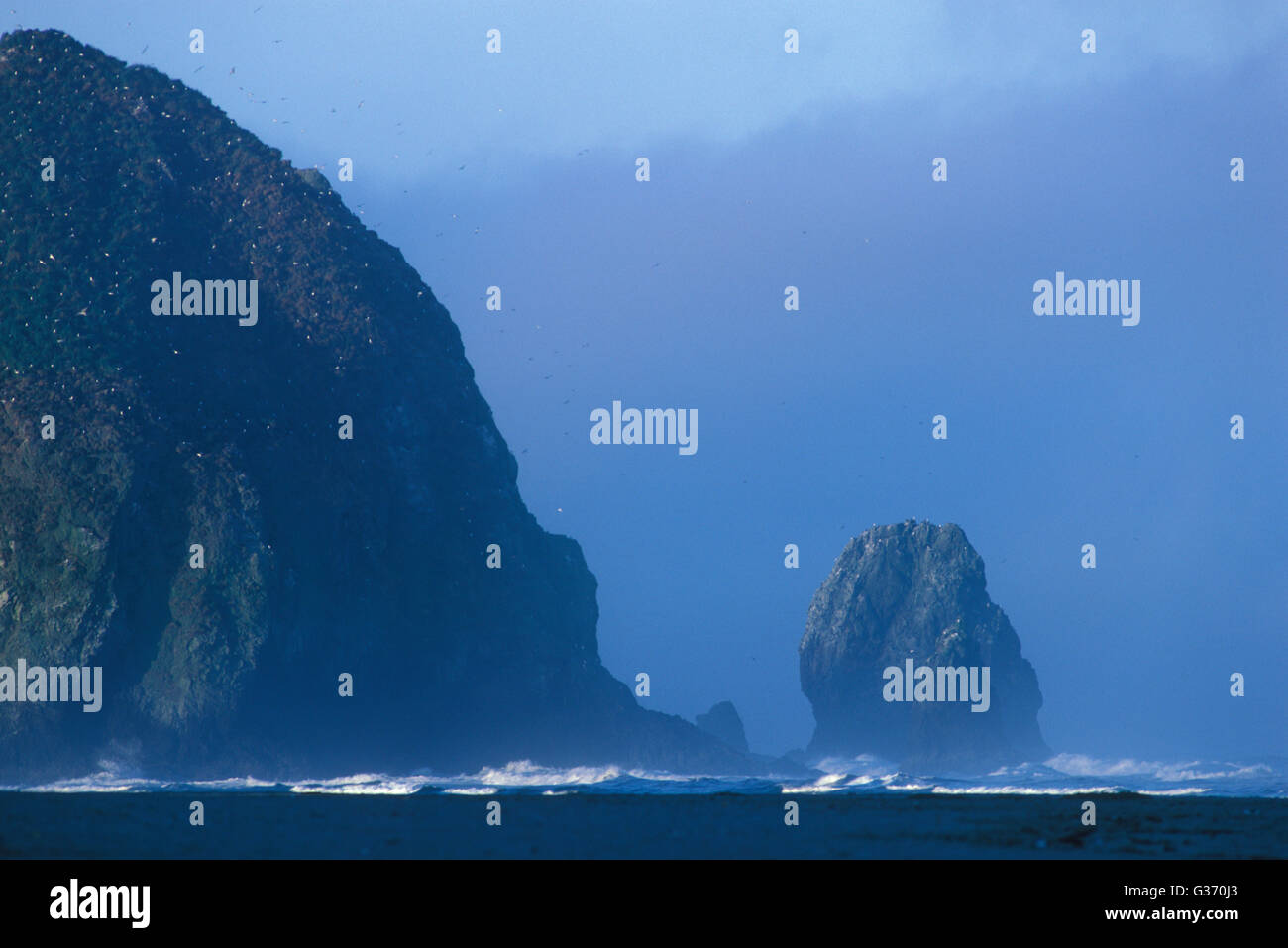 Sea stacks off Canon Beach on the Oregon Coast Stock Photo - Alamy