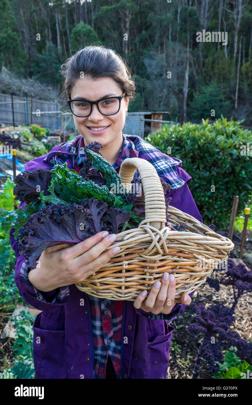 Young woman with a basket with three different varieties of harvested kale in a small market garden in Hobart, Tasmania Stock Photo