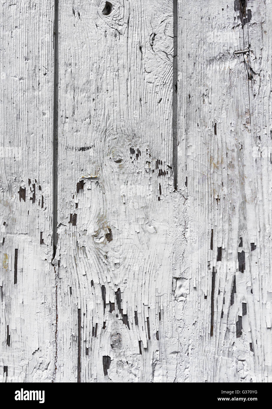 Wooden wall with white paint is severely weathered and peeling Stock ...