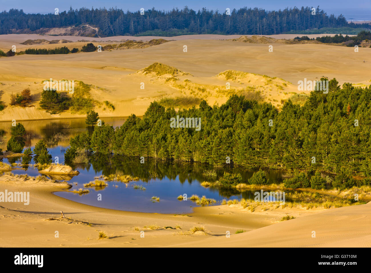 Oregon Dunes National Recreation area Stock Photo Alamy