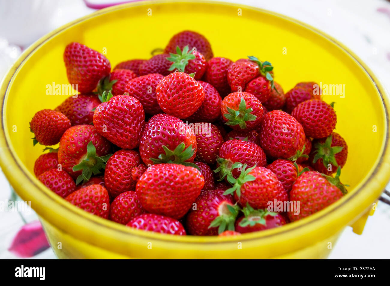 Strawberry in a yellow bucket Stock Photo - Alamy