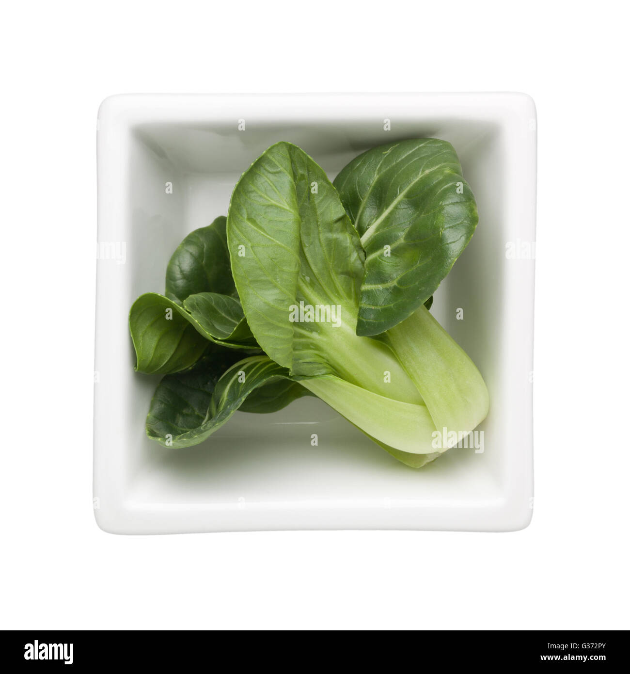 Chinese cabbage in a square bowl isolated on white background Stock Photo