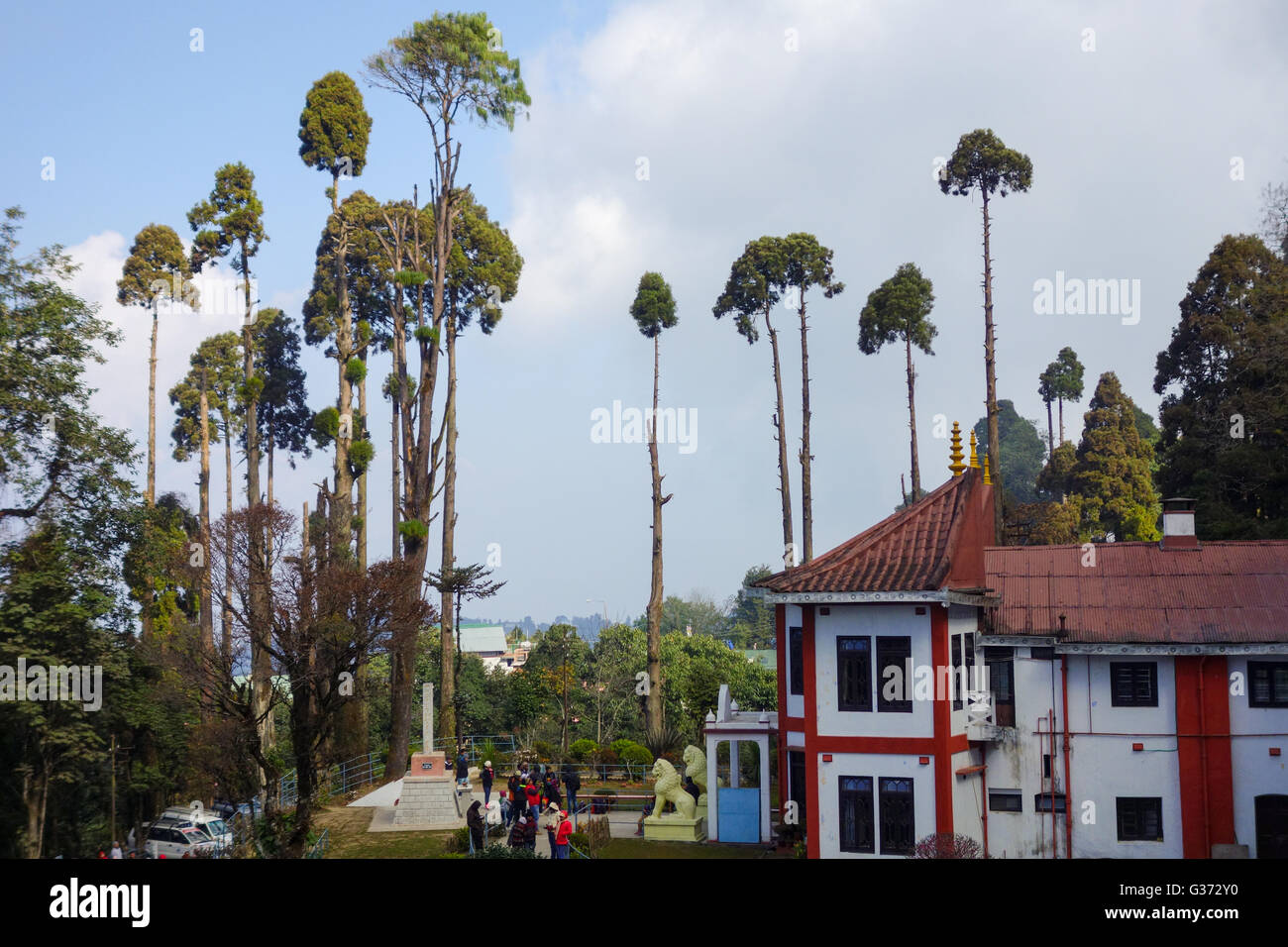 View of tall trees around the Japanese Temple from Peace Pagoda at Darjeeling, West Bengal, India Stock Photo