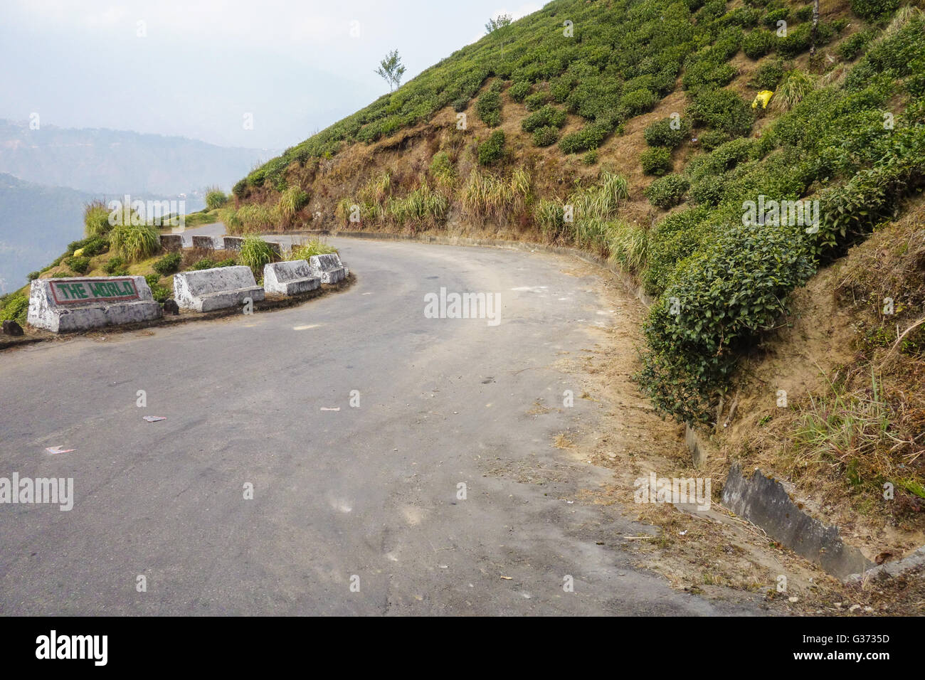 Narrow and curvy Bloomfield Road which leads to the Rock Garden in Darjeeling, West Bengal, India Stock Photo