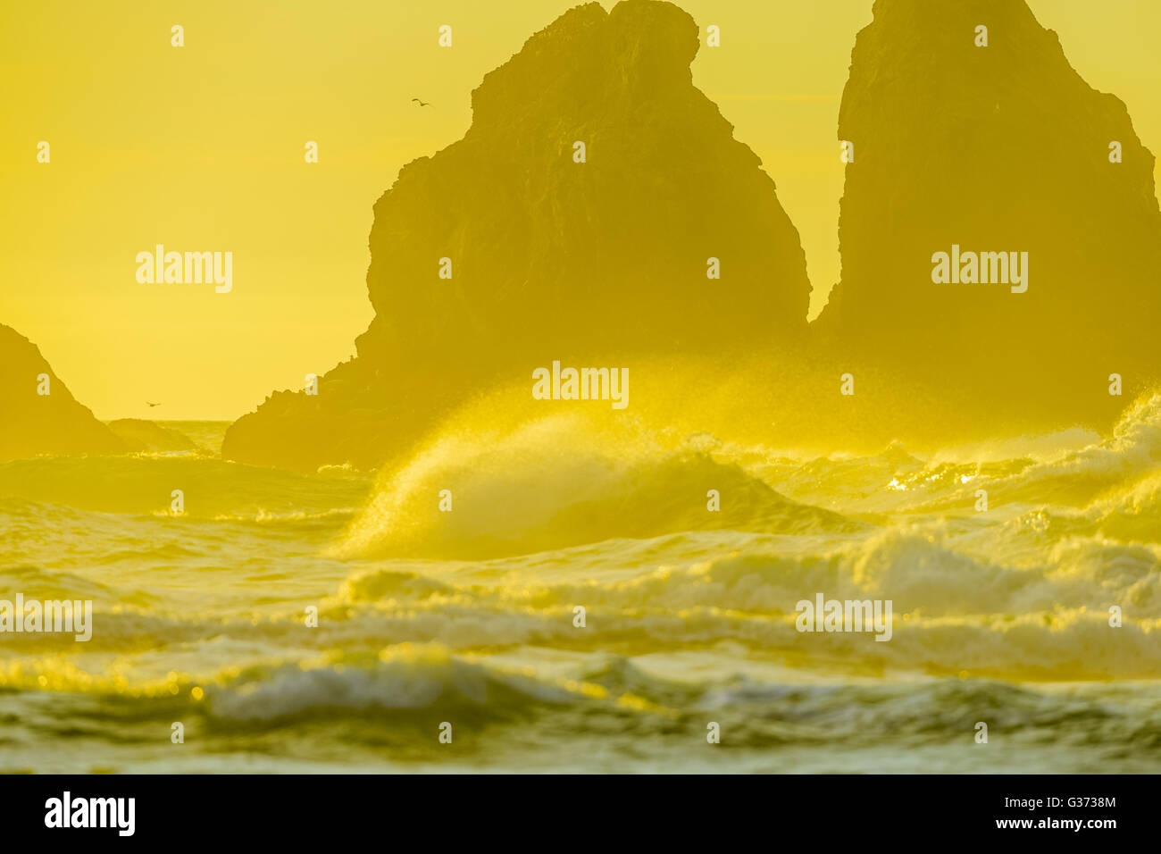 Sea stacks off town of Bandon on Oregon Coast Stock Photo - Alamy