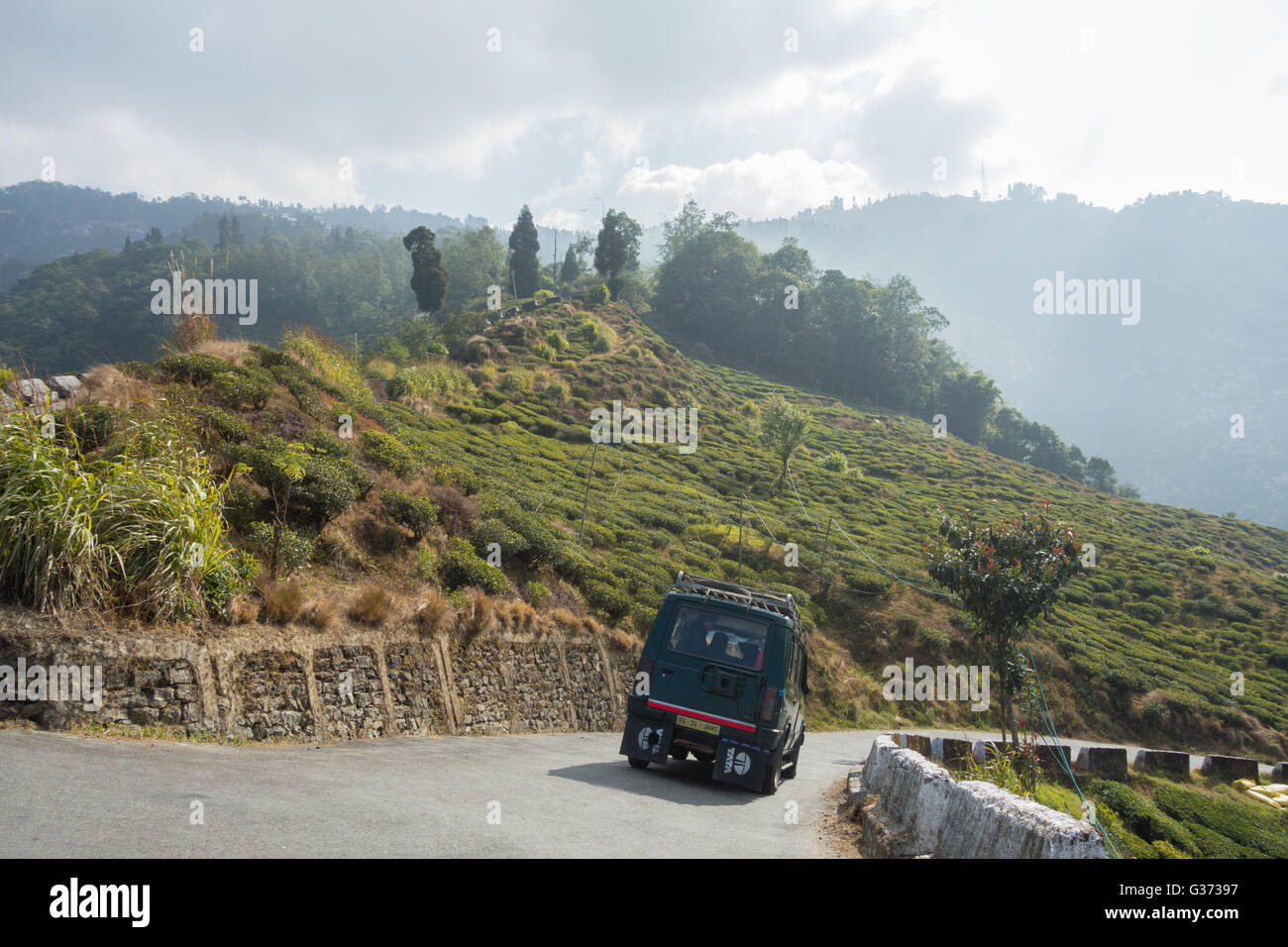 Tata Sumo car going downhill on Bloomfield Road, Darjeeling, West Bengal, India Stock Photo