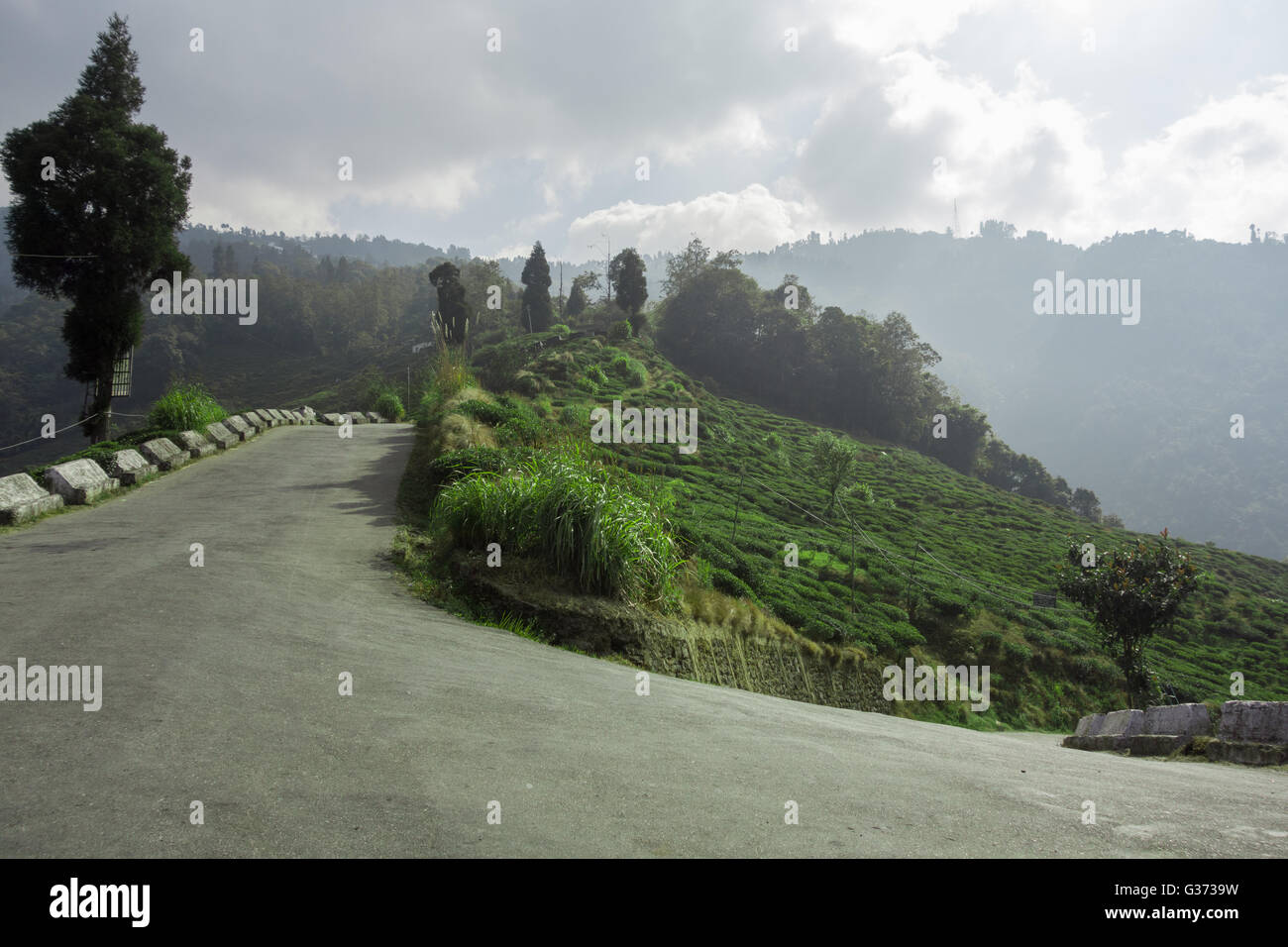 Wide angle view of hairpin bend on Bloomfield Road, Darjeeling, West Bengal, India Stock Photo