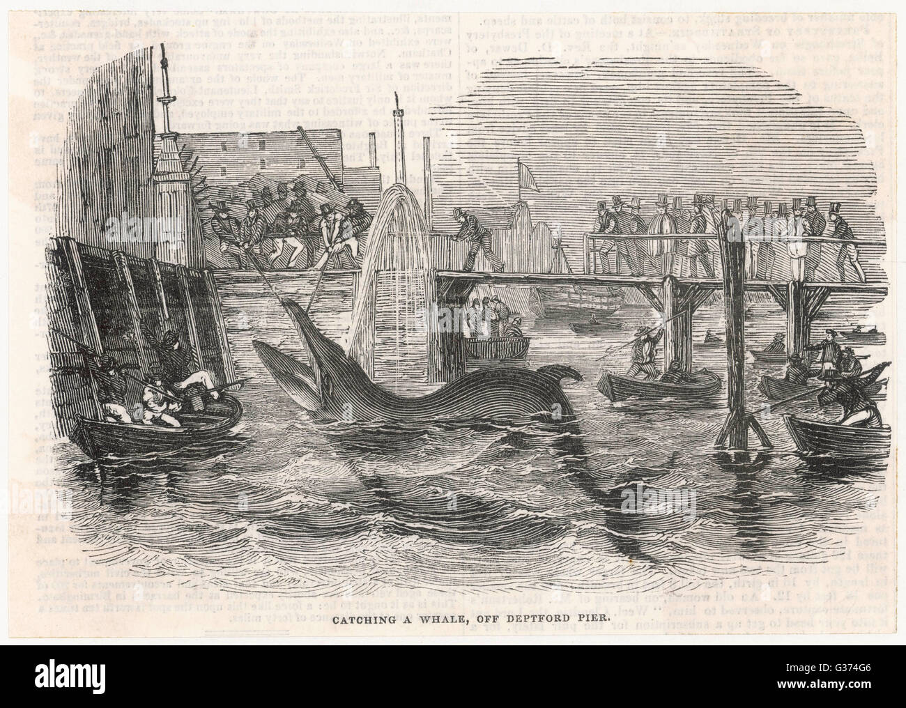 Catching a whale off Deptford Pier Date: 1842 Stock Photo