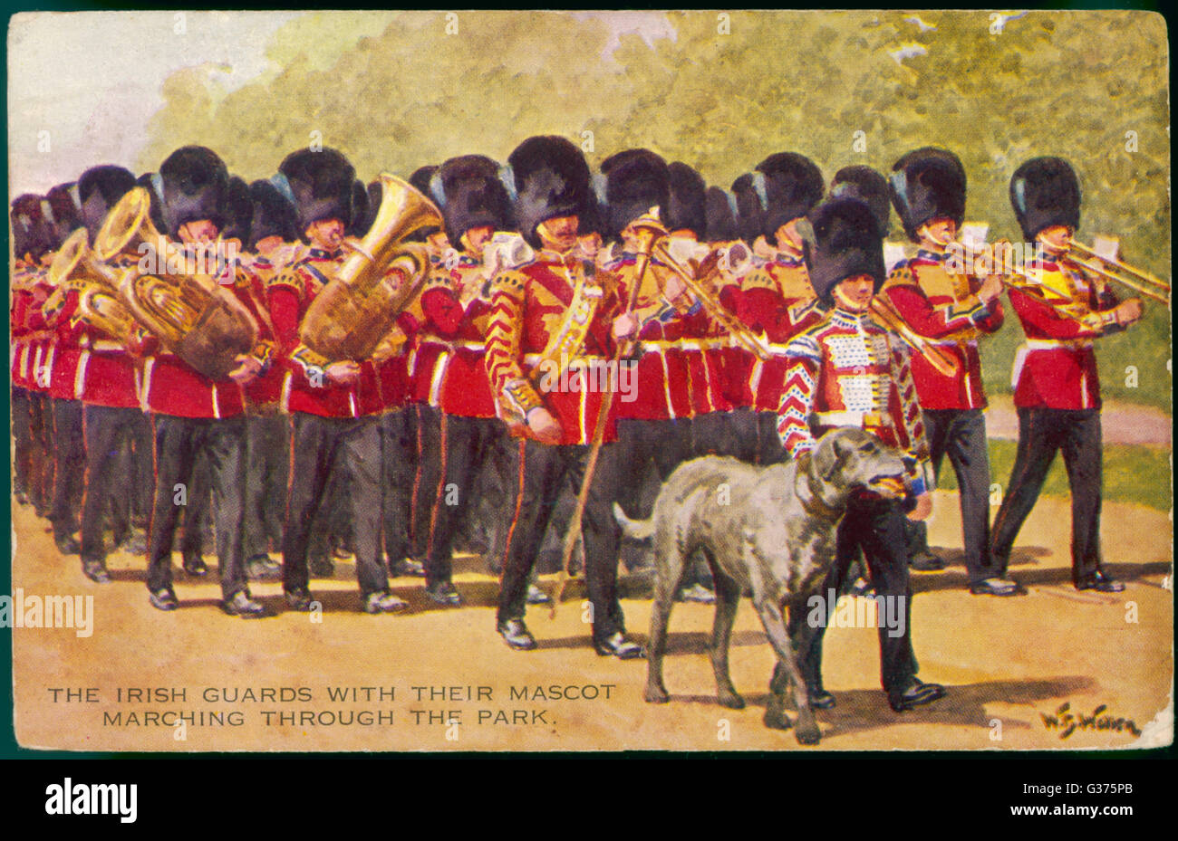 The band of the Irish Guards  march with their regimental  mascot, an Irish Wolfhound, of  course.       Date: 1907 Stock Photo