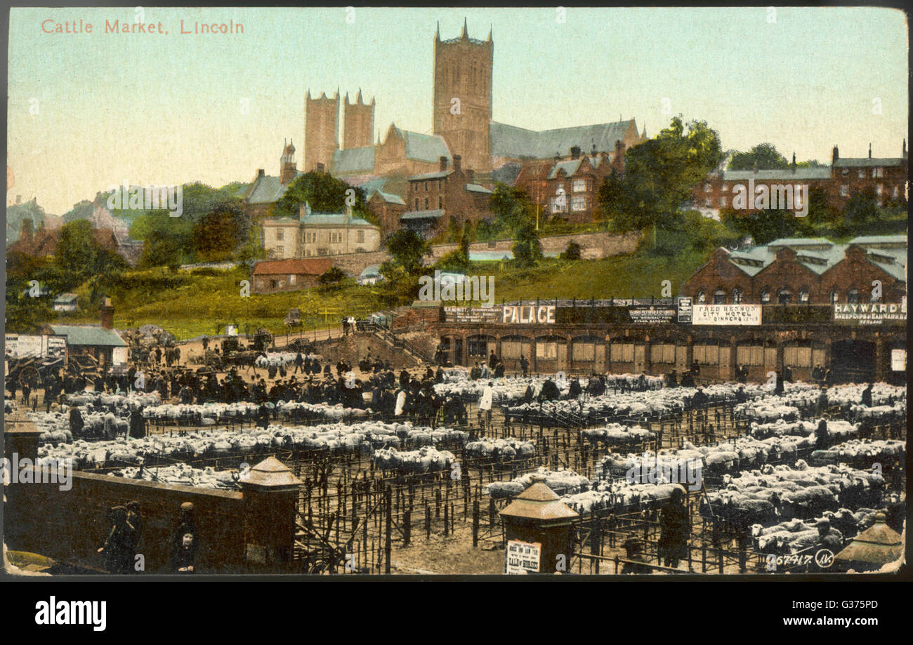 The Cattle Market at Lincoln overlooked by the cathedral today the