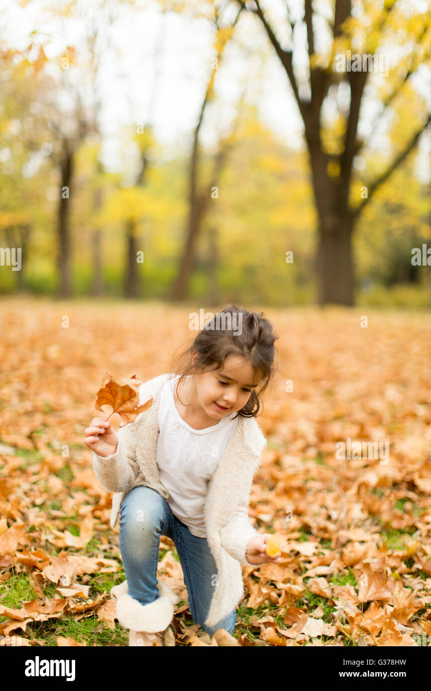 Cute little girl in the autumn park Stock Photo - Alamy