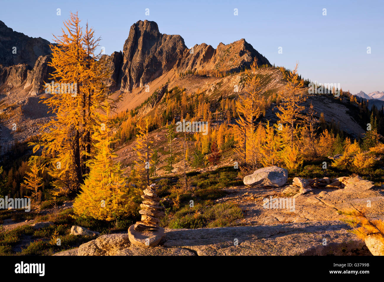 WASHINGTON - A cairn among the autumn colored larch trees at sunrise in the Cutthroat Pass area of the North Cascades. Stock Photo