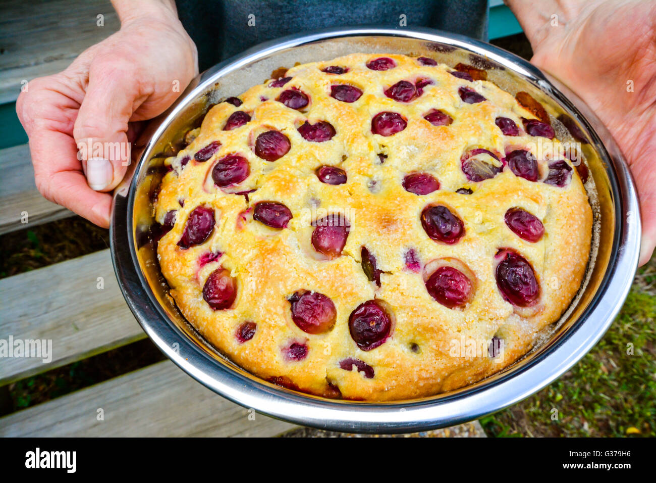 Vegan Grape cake in pie pan lightly browned looks delicious, held by a