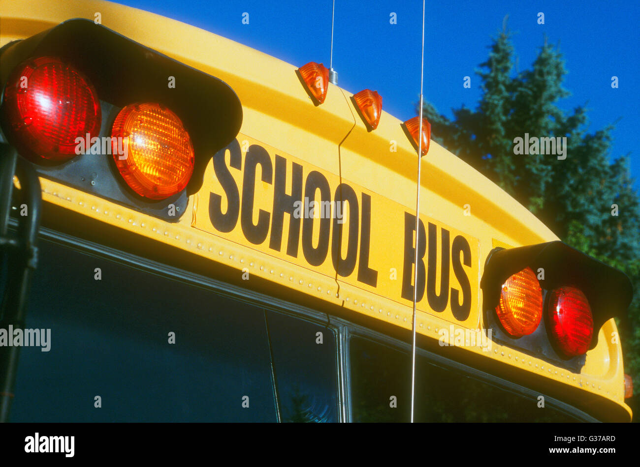 A school bus hi-res stock photography and images - Alamy