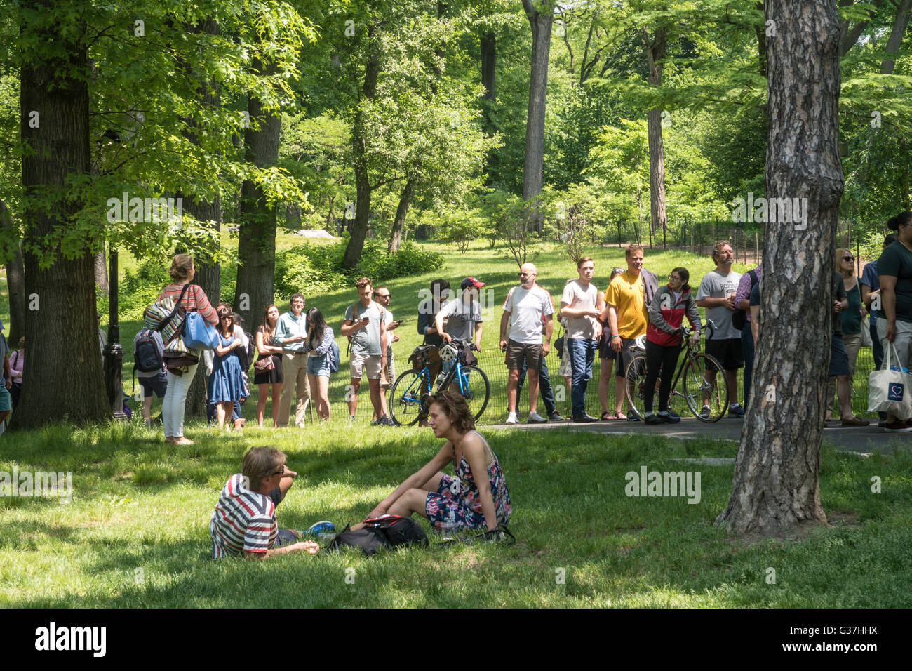 Free Ticket Lines at the Delacorte Theater in Central Park, NYC Stock