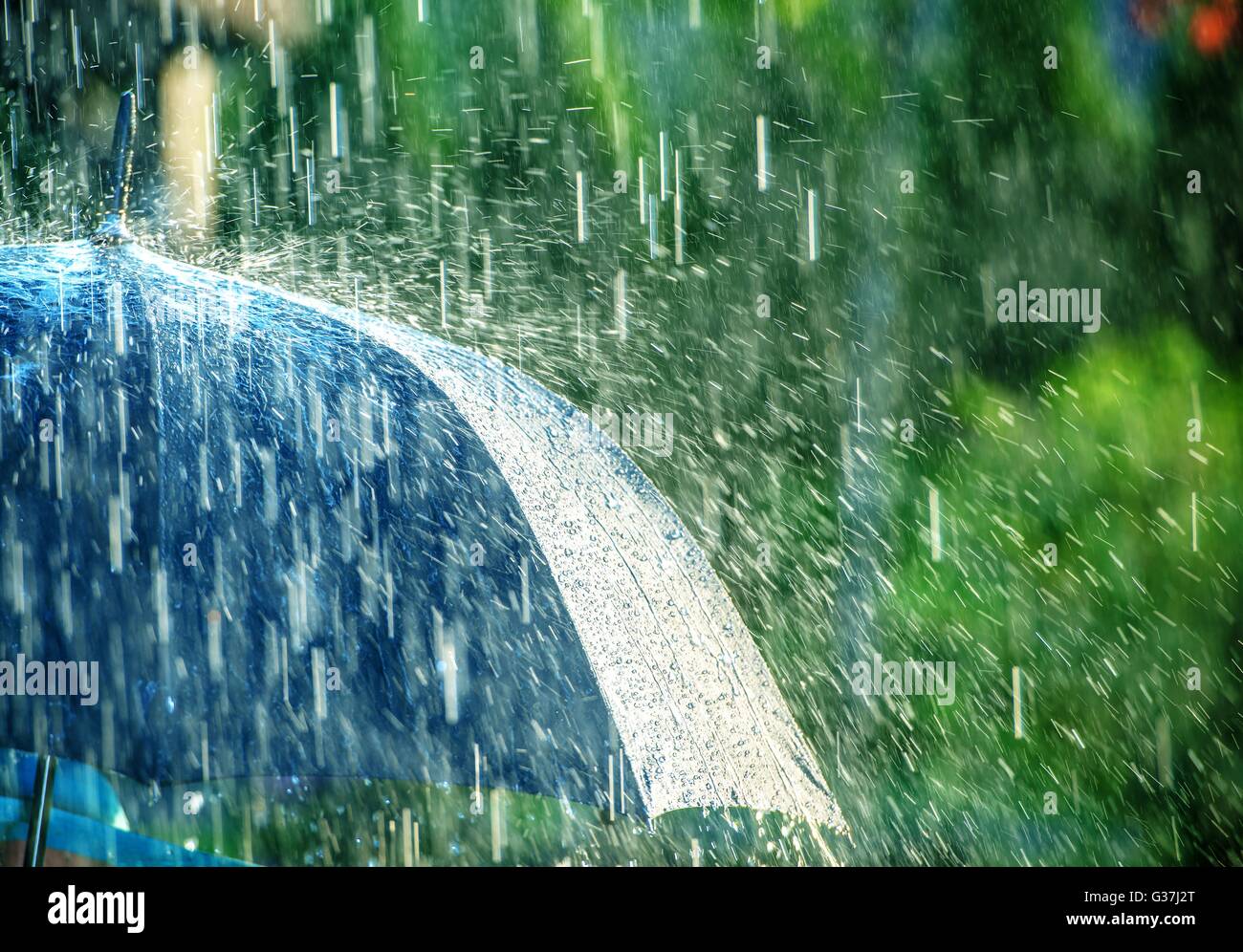 Summer Rain Storm Under Umbrella. Summer Rainy Weather Stock Photo