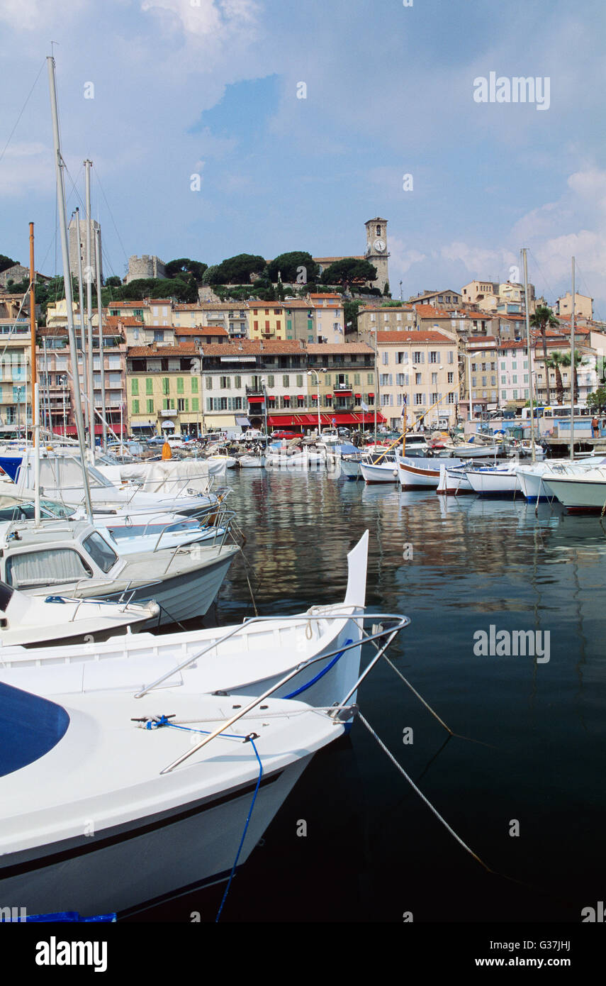 Boats in the Marina, Cannes, France Stock Photo Alamy