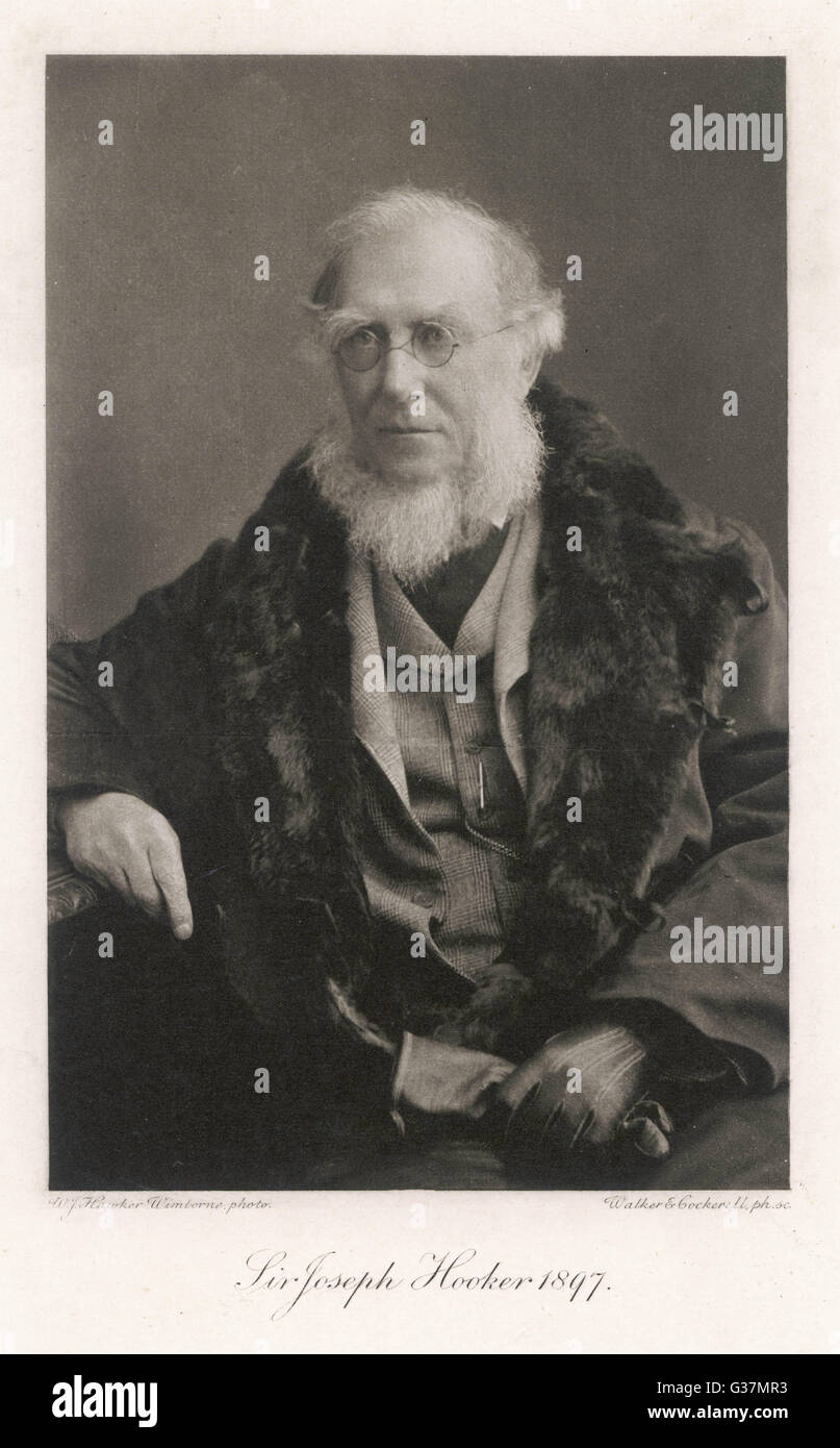 Sir JOSEPH DALTON HOOKER  naturalist        Date: 1817 - 1911 Stock Photo