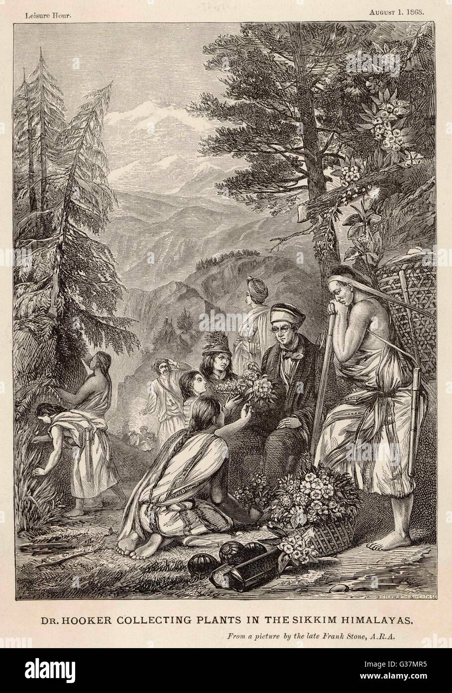 sir JOSEPH DALTON HOOKER  naturalist, collecting plants  in the Sikkim Himalayas       Date: 1817 - 1911 Stock Photo