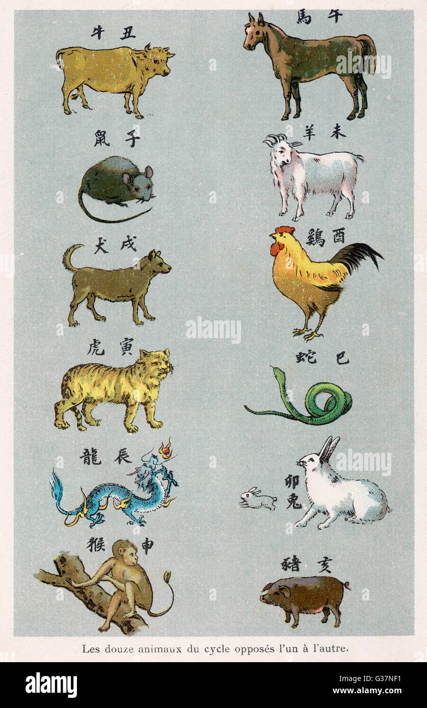 Chinese Zodiacal Pairs Stock Photo