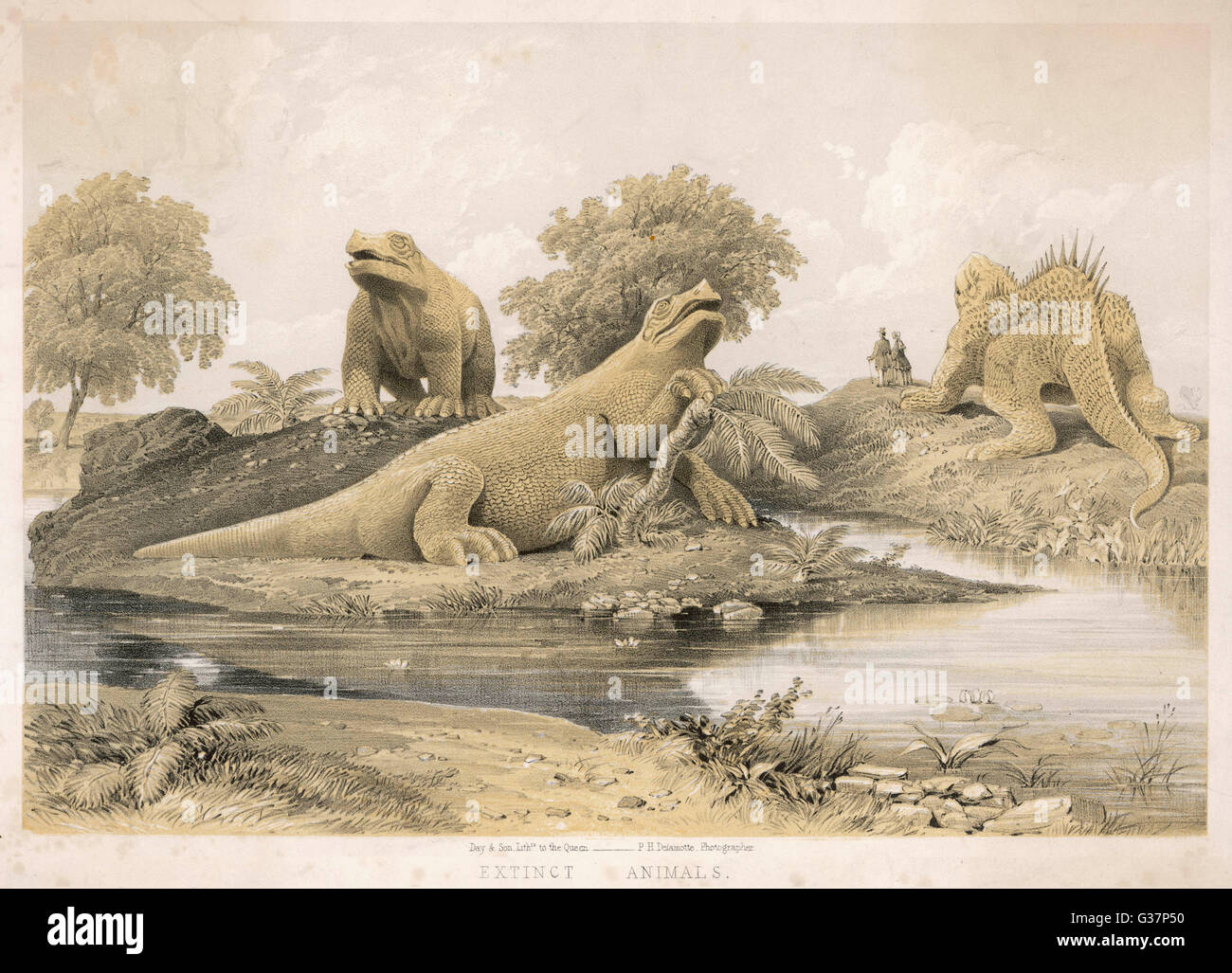 Models of dinosaurs &amp; other  species at the Crystal Palace,  Sydenham (London) - figures by  Waterhouse Hawkins.     Date: circa 1854 Stock Photo