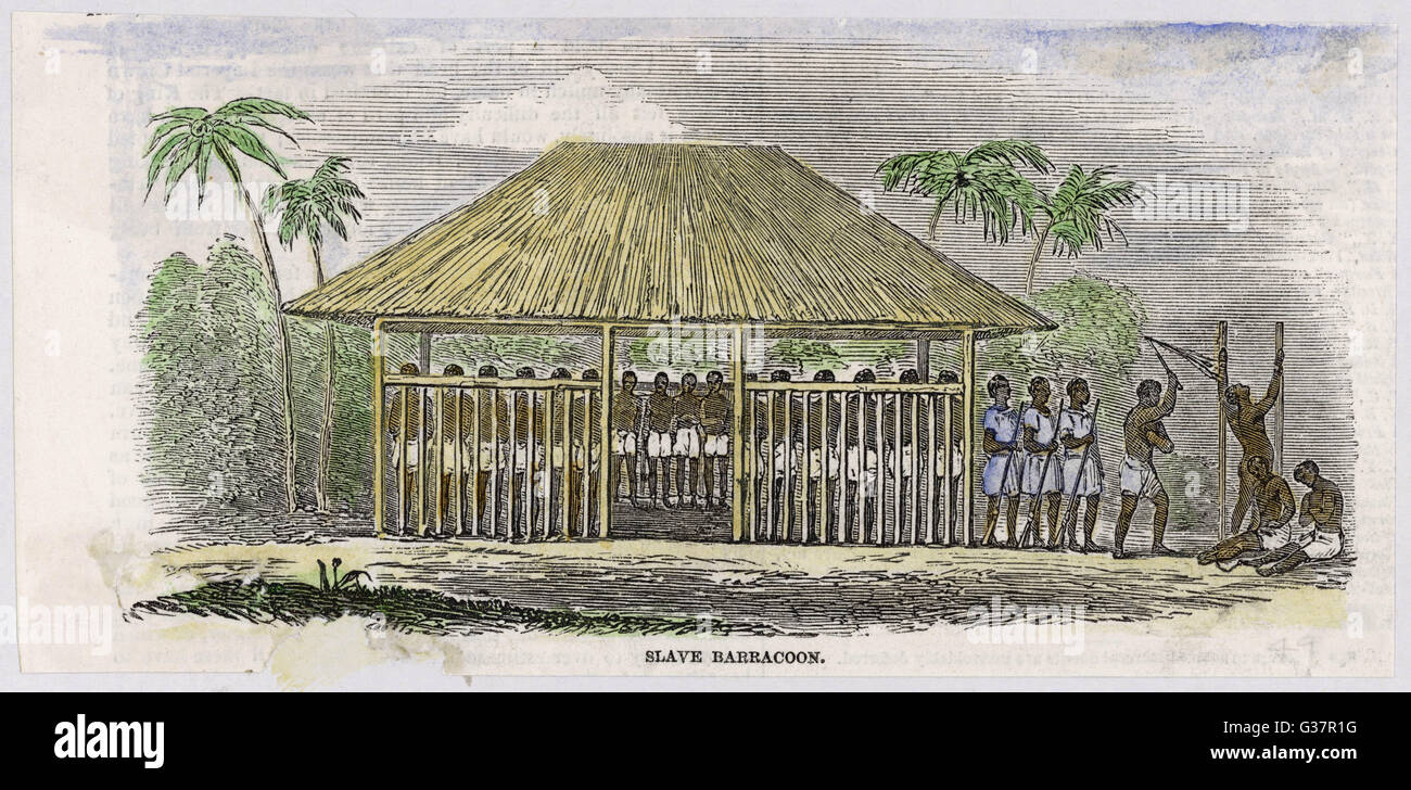 WEST AFRICA - A 'barracoon' in  Sierre Leone, where slaves are held prior to shipment, for  months on end, chained by neck  and legs, frequently flogged      Date: 1849 Stock Photo
