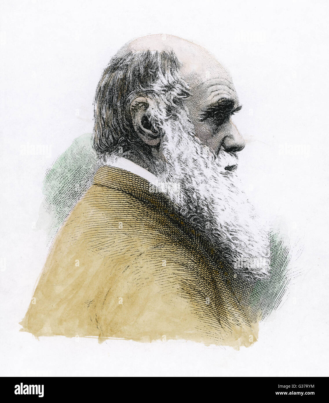 CHARLES DARWIN English naturalist Date 18091882 Stock Photo Alamy