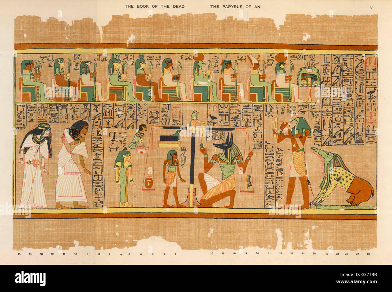 The Weighing Of Ani S Conscience By Anubis Thoth Notes The Result Stock Photo Alamy The Weighing Of Ani S Conscience By Anubis Thoth Notes The Result Stock Photo Alamy