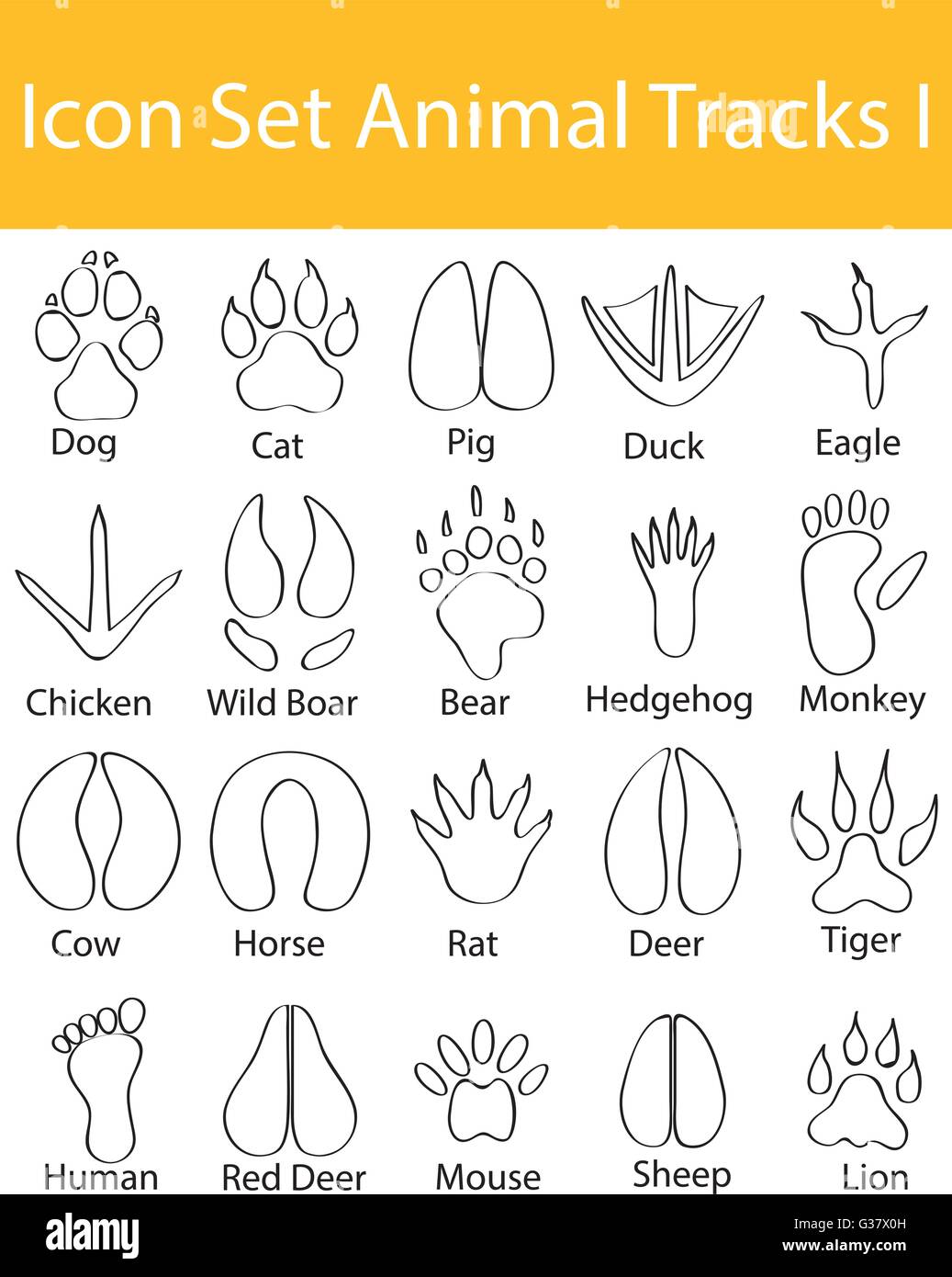 Drawn Doodle Lined Icon Set Animal Tracks I with 20 icons for the creative use in graphic design Stock Vector