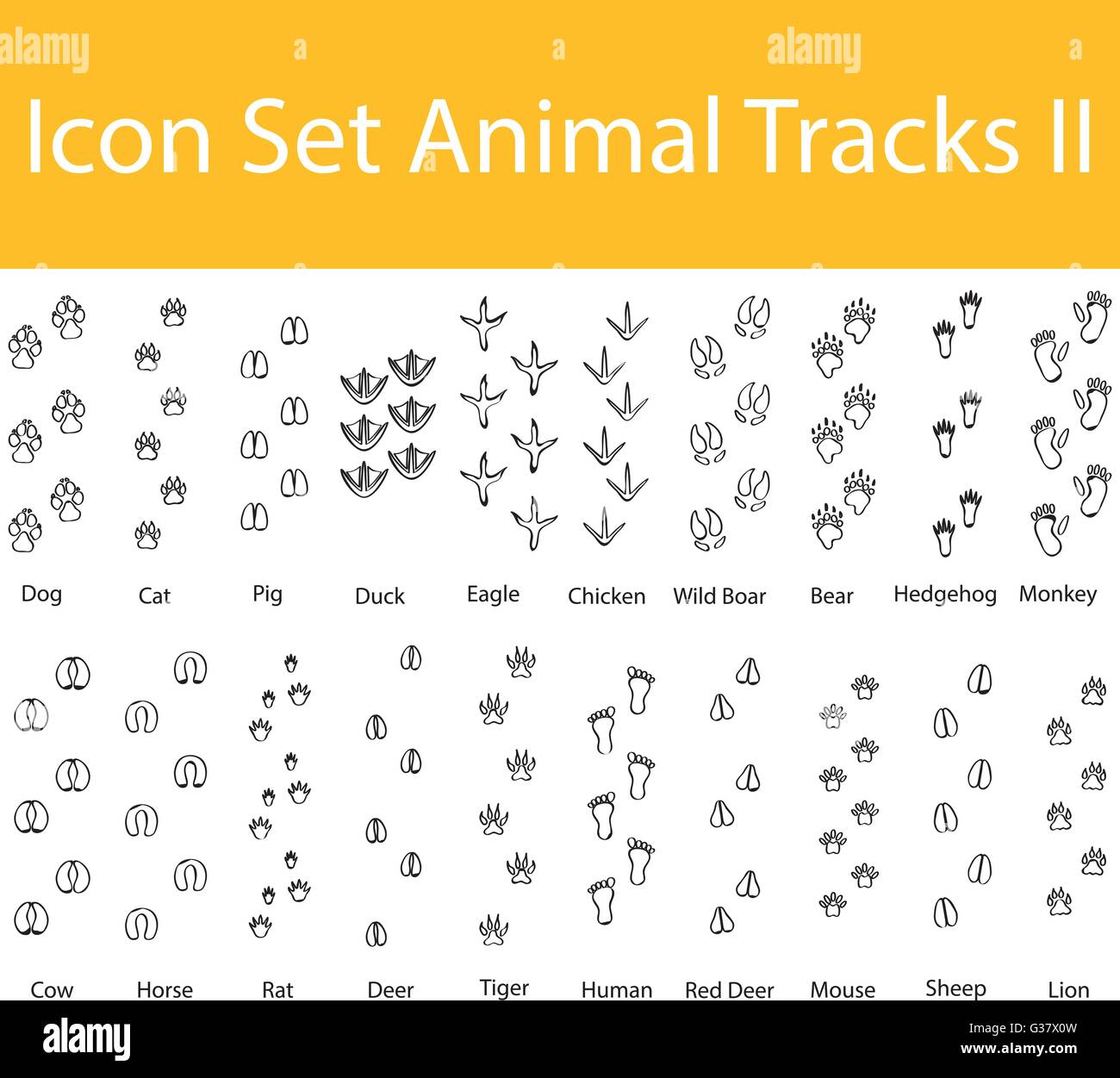 Drawn Doodle Lined Icon Set Animal Tracks II with 20 icons for the creative use in graphic design Stock Vector