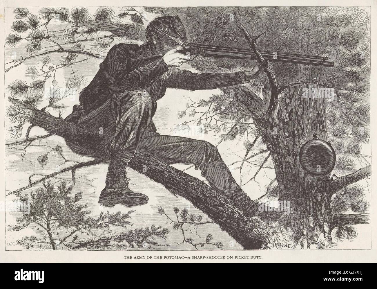American Civil War: sniper in a tree, 1862 Stock Photo