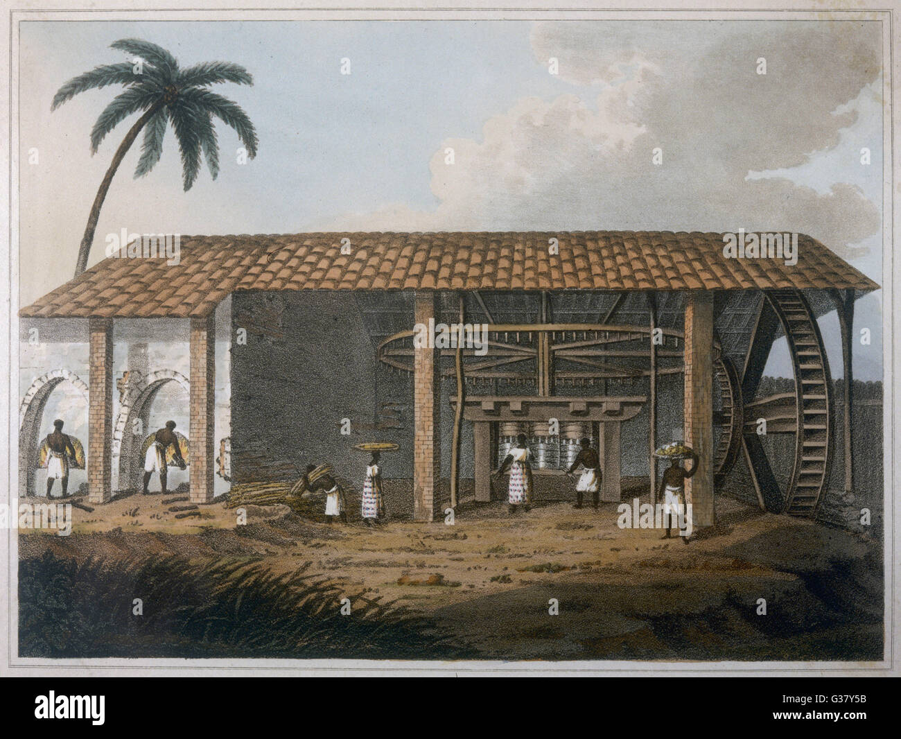 Slaves plantation hires stock photography and images Alamy