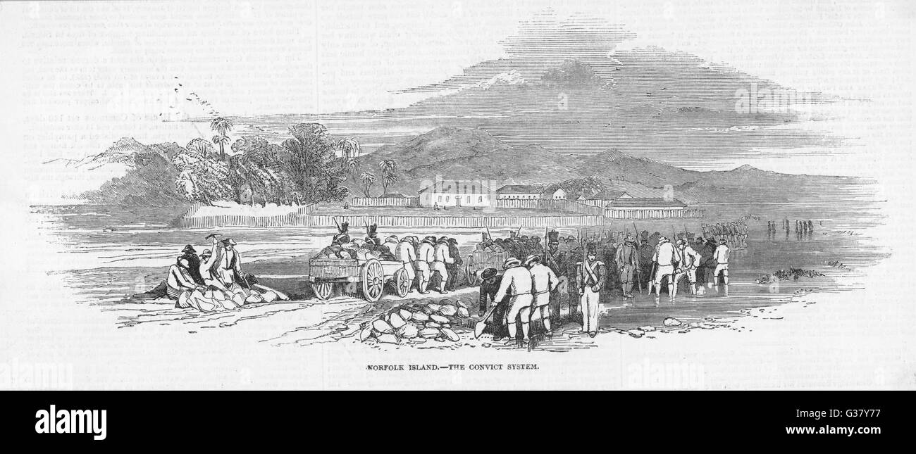 Convicts doing hard labour under military guard in the Norfolk Islands