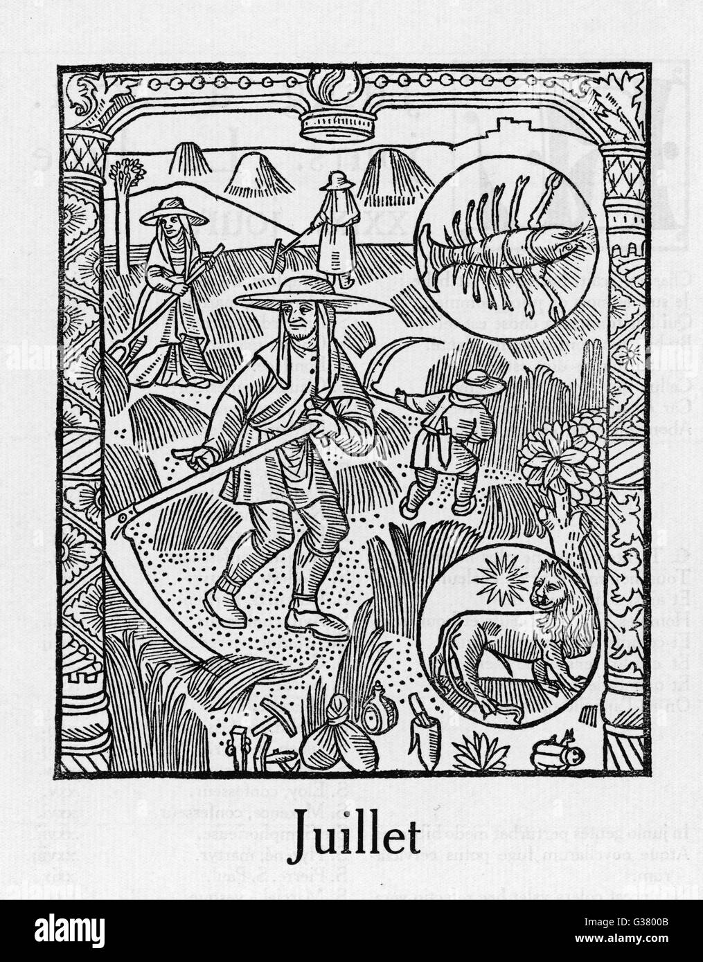 MONTH / JULY Stock Photo - Alamy