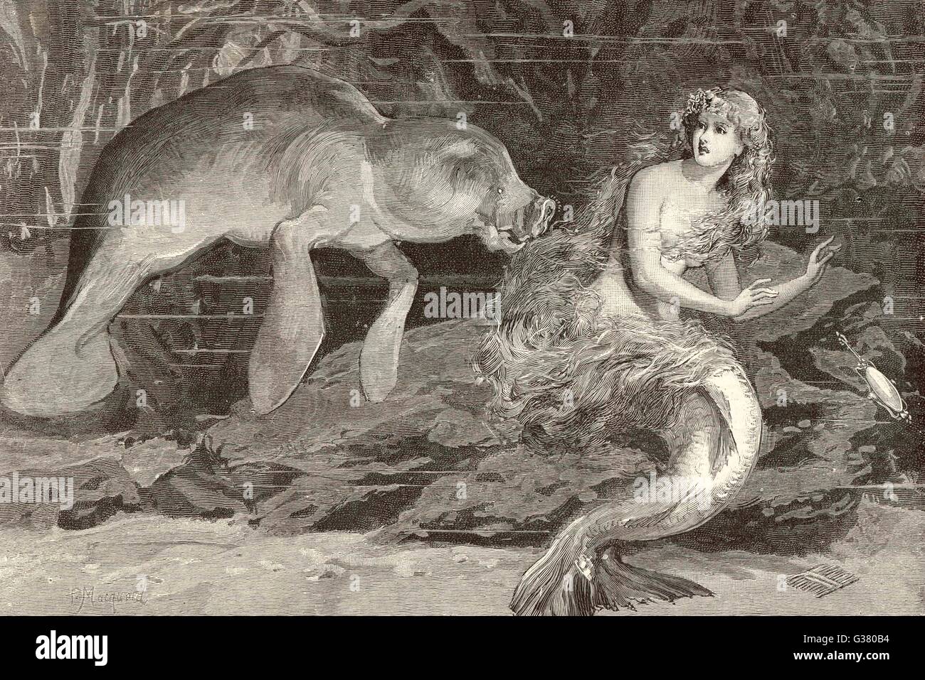 A mermaid compared with the  manatee at the Zoological  Gardens, London        Date: 1889 Stock Photo