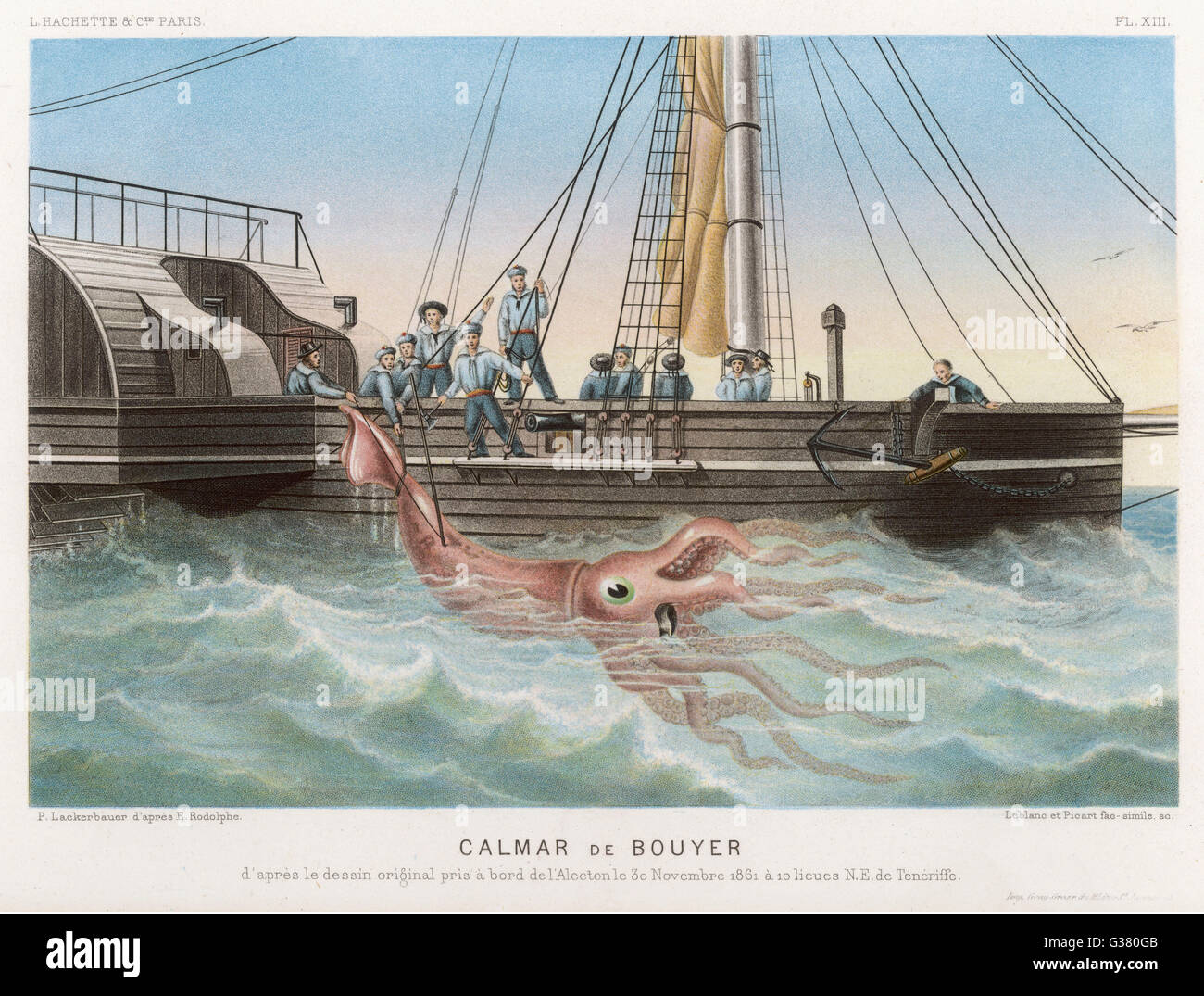 'Calmar de Bouyer', giant  squid caught by the French  vessel 'Alecto' off Tenerife,  Canary Islands       Date: 30 November 1861 Stock Photo
