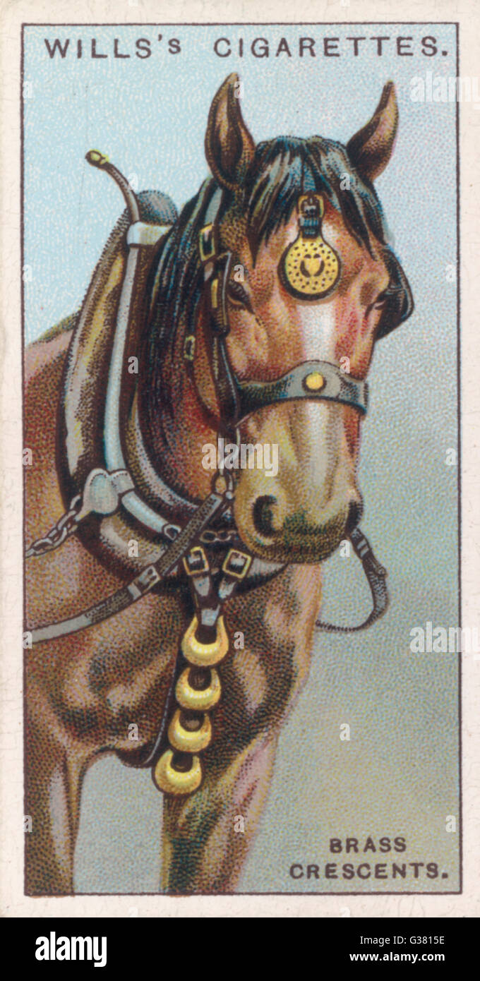 HORSE BRASSES Stock Photo