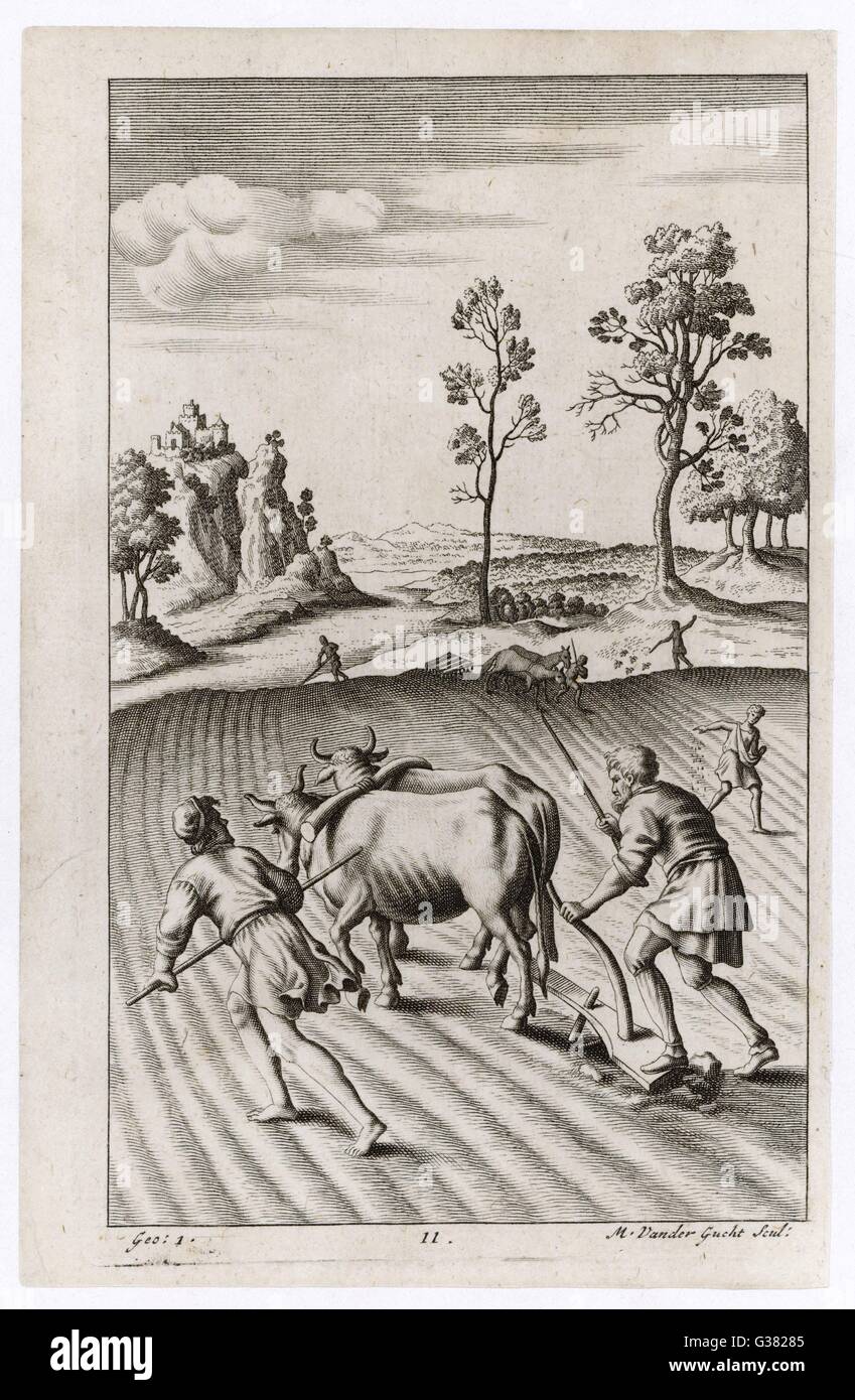Roman farmers plowing  with oxen         Date: 29 BC Stock Photo