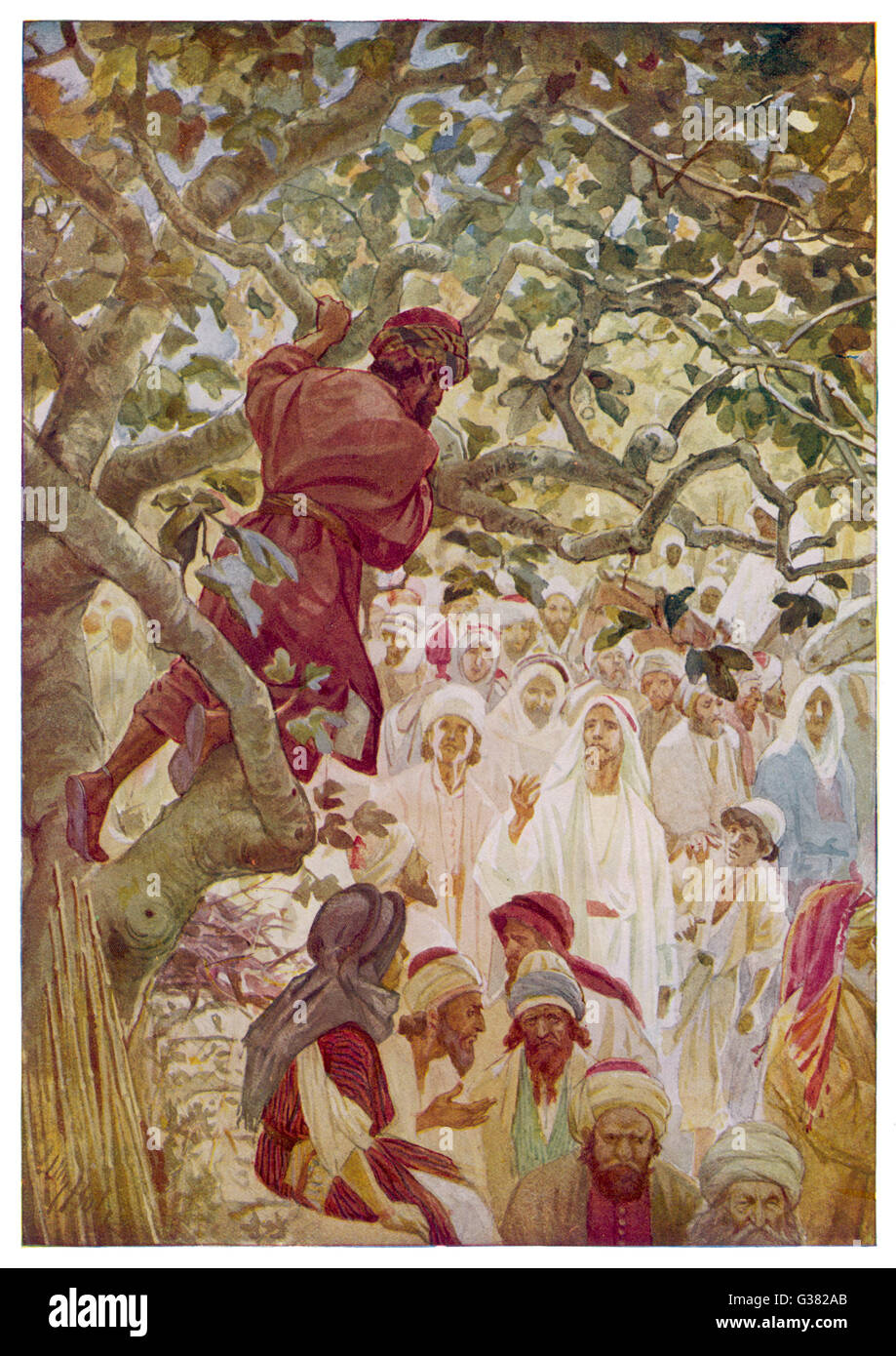 Jesus sees the publican Zacchaeus in a tree at Jericho, and invites