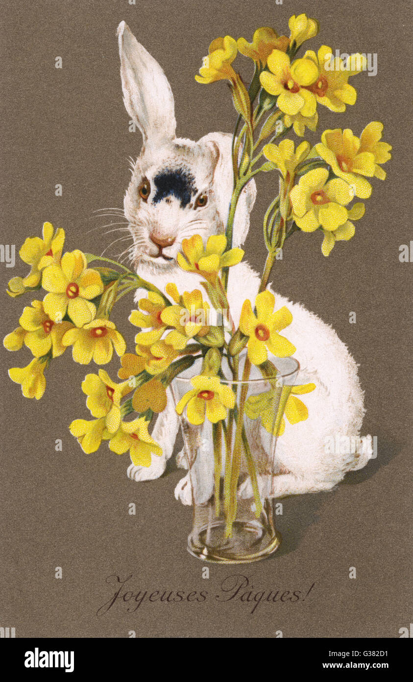 Bunny Flower Vase Stock Photo Alamy