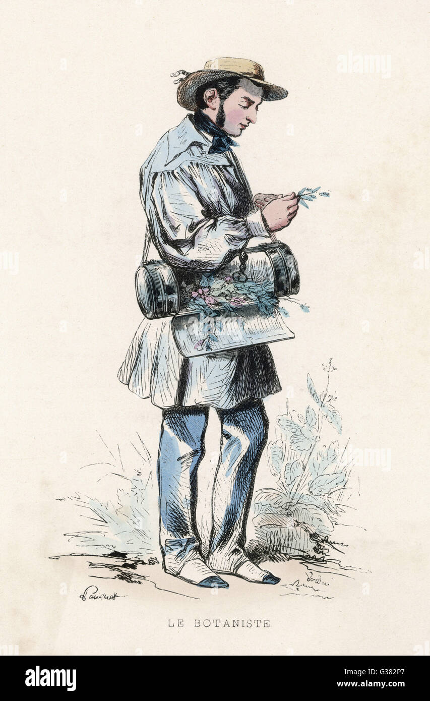 Botanist at Work - 1850 Stock Photo