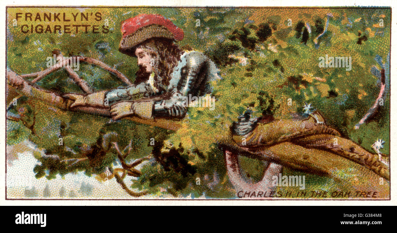Charles II, fleeing after the  execution of his father, hides  in a tree near Boscobel House,  Shropshire, and overhears his  pursuers discussing his  capture     Date: 1651 Stock Photo