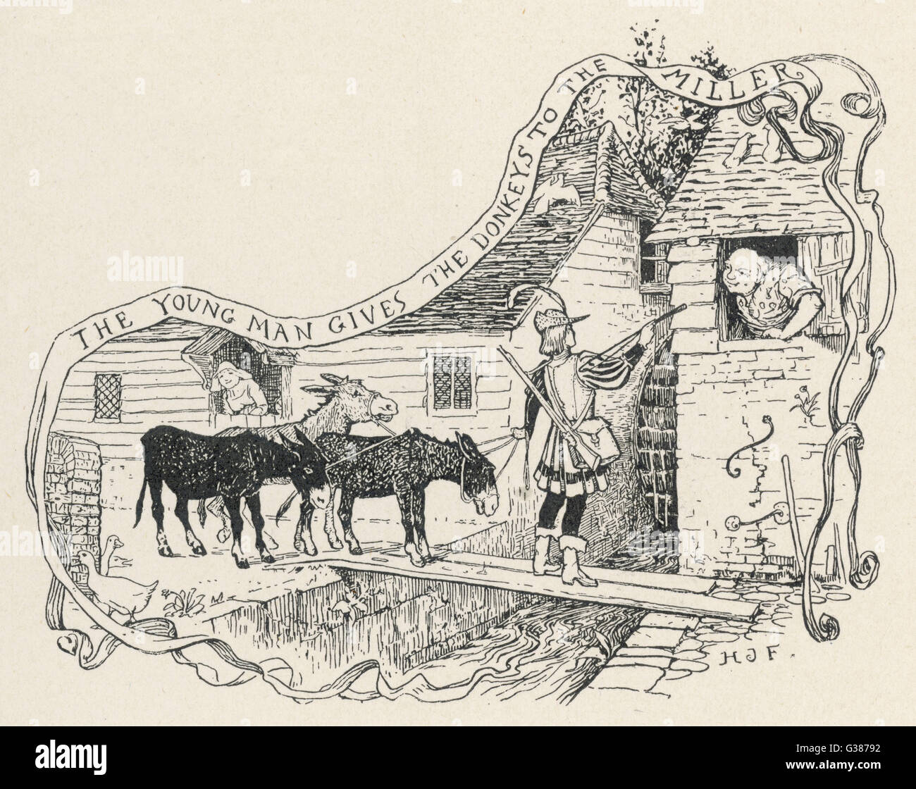 THE DONKEY CABBAGE Stock Photo Alamy