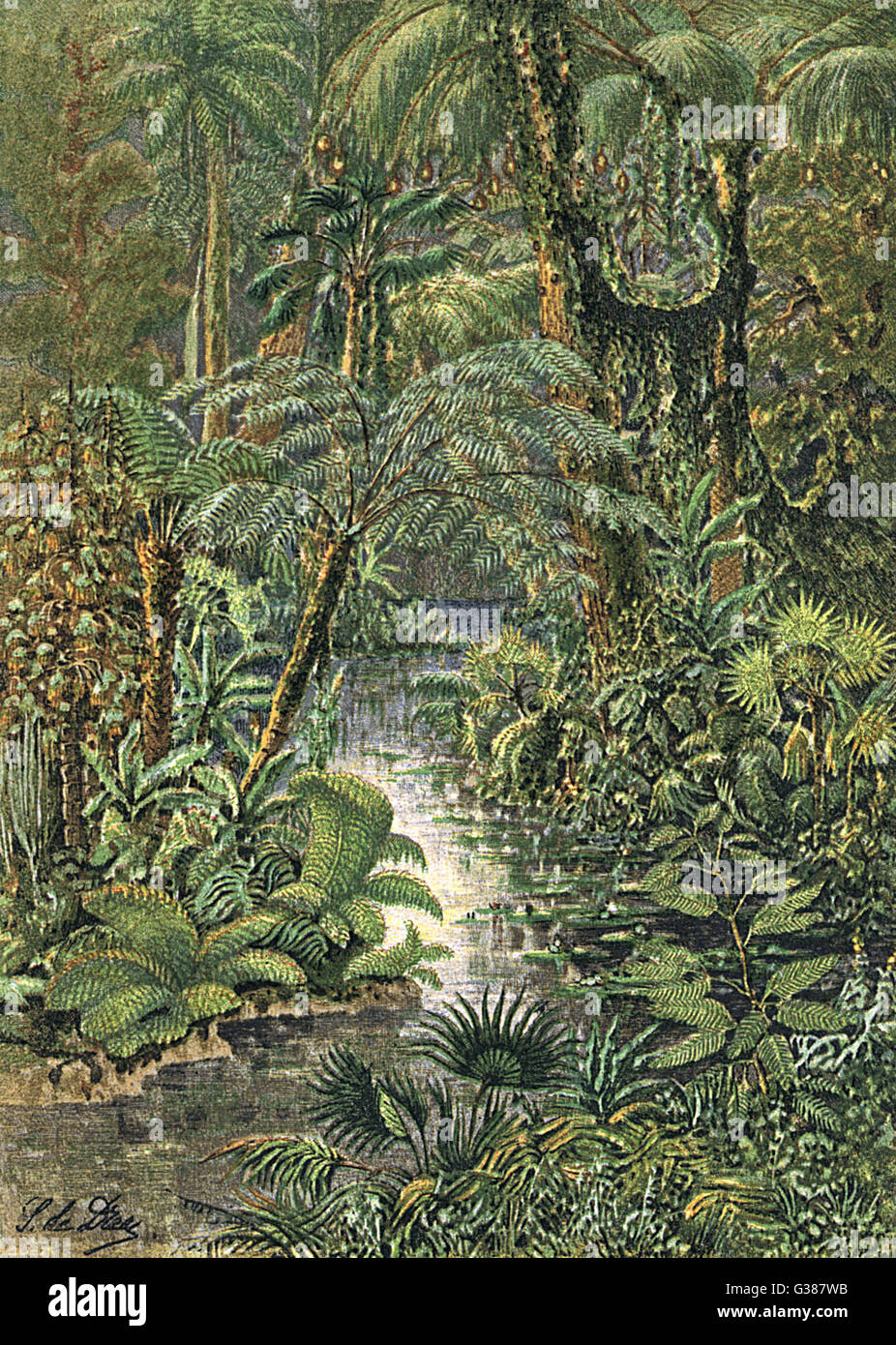 Carboniferous Forest Stock Photos & Carboniferous Forest Stock Images ...
